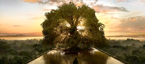 TreeOfLife_still3