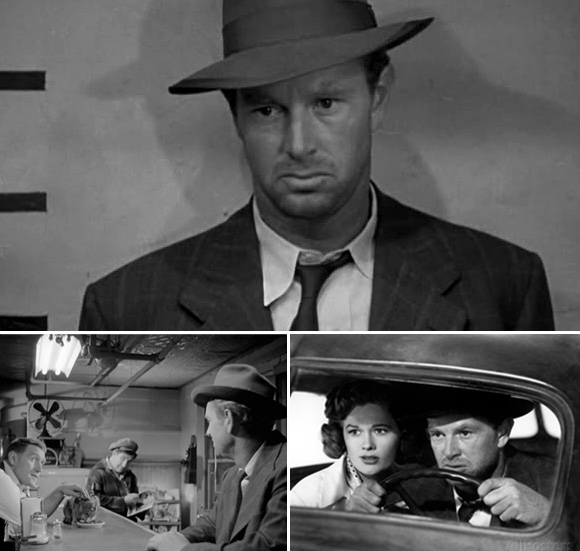 AsphaltJungle_SterlingH