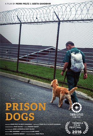 prisondogs