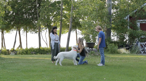 tcff_junefallingdown_still2