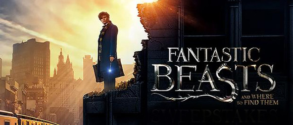 fantasticbeastsbanner
