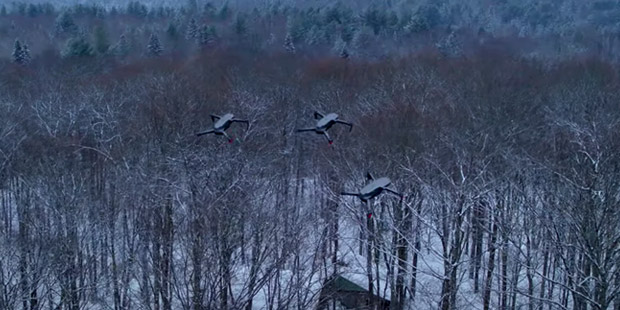 EnhancedMovie-wintry-scene