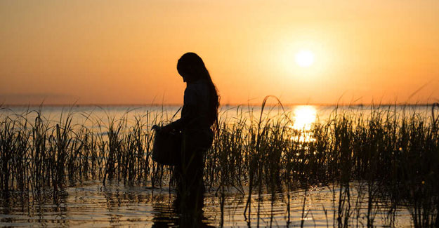 wherecrawdadsing-cinematography