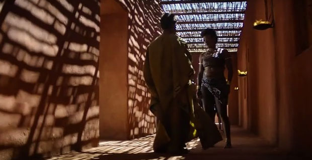 the-woman-king-cinematography