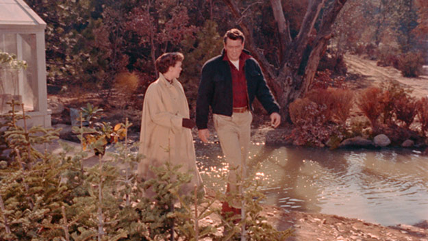 All-That-Heaven-Allows