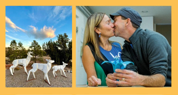 origami-garden-doc-still2