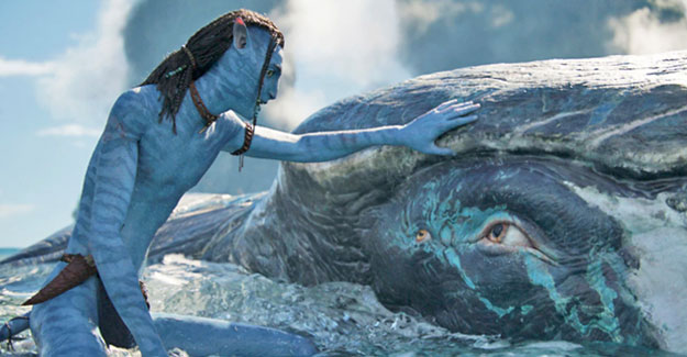 avatar-wayofwater-whale-tulkun