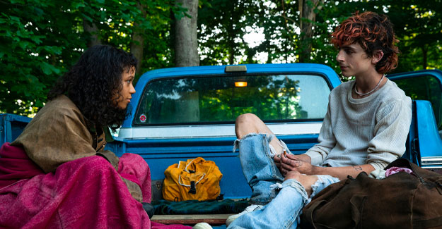 bones-and-all-taylor-timothee