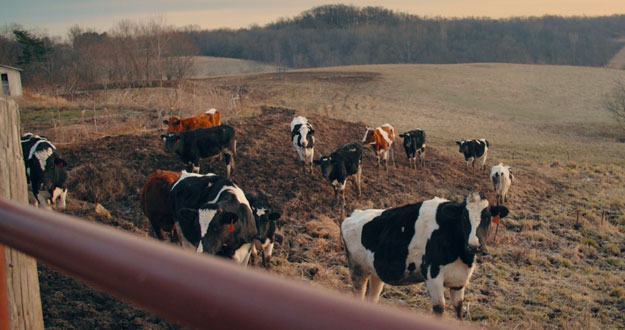 GreenerPastures-doc-farming