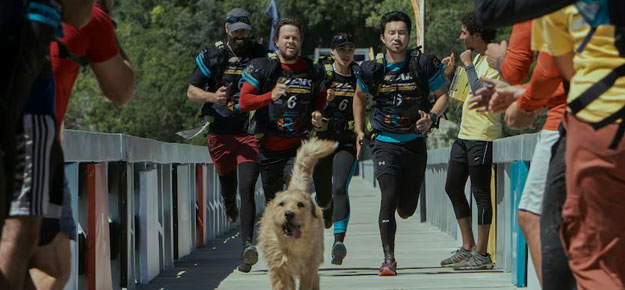 arthur-the-king-racing