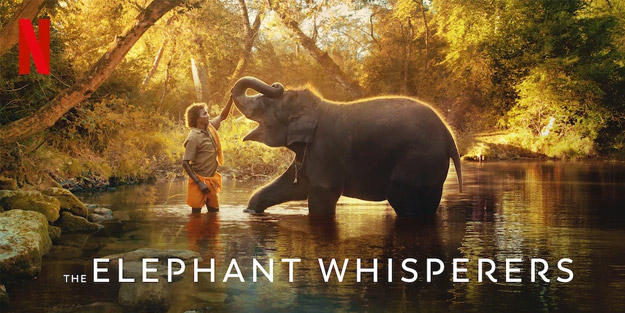 ElephantWhisperers-short-netflix