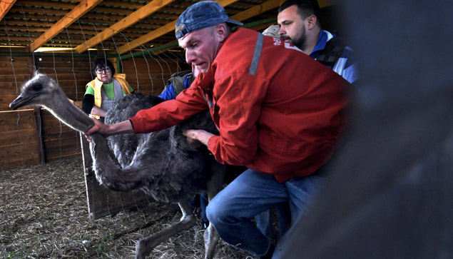Checkpoint Zoo documentary
