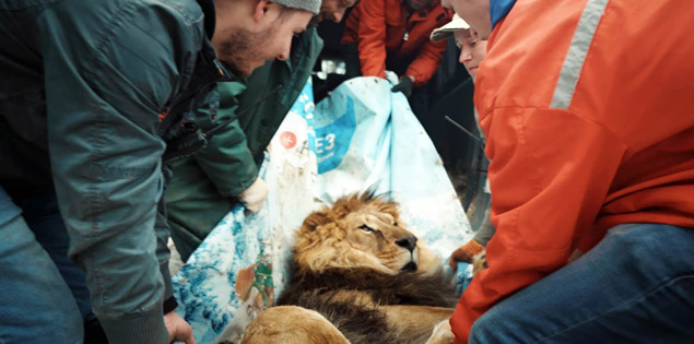 MSPIFF - Checkpoint Zoo