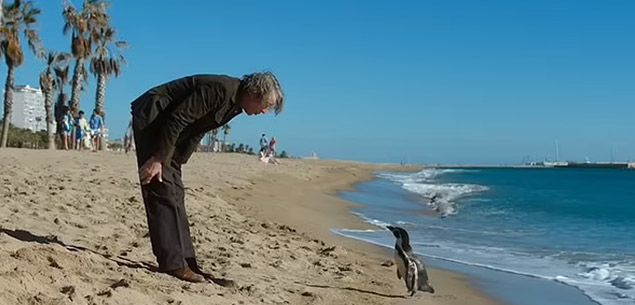 The Penguin Lessons - Argentina beach