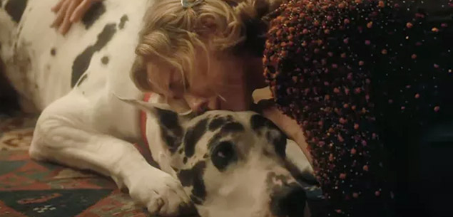 The Friend - Great Dane + Naomi Watts