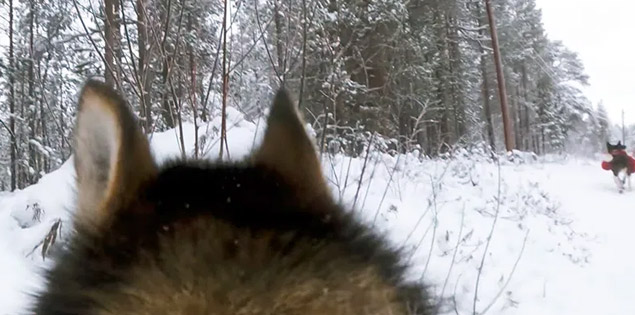 Folktales documentary - Arctic Norway