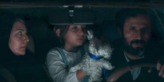 It Was Just an Accident