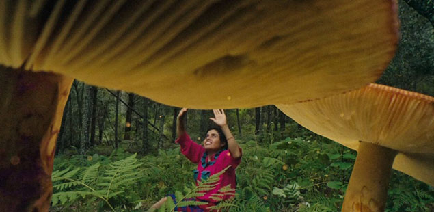 Daughters of the Forest - fungi doc