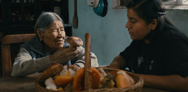 Daughters of the Forest - Lis and grandma