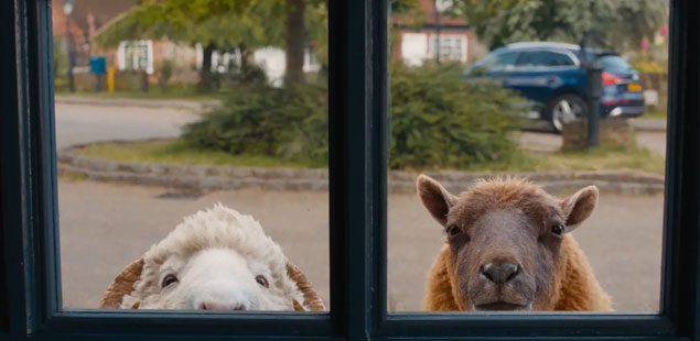 The Sheep Detectives - animal sleuths