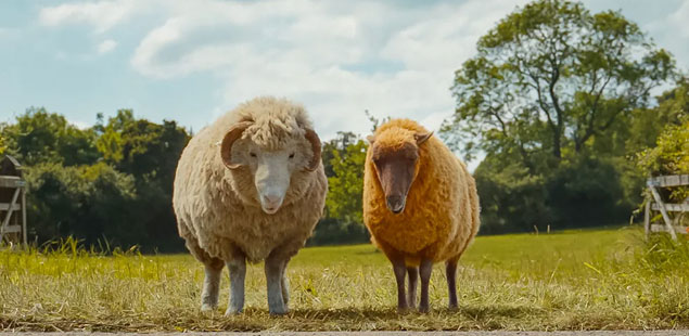 The Sheep Detectives - road crossing